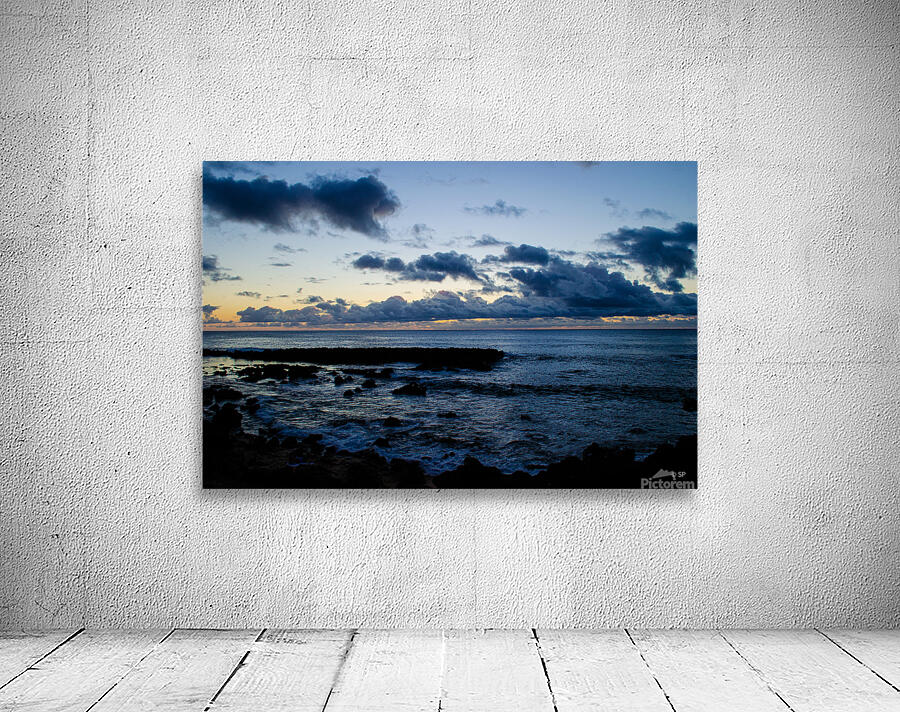 Sharks Cove Wall Preview