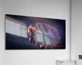 Three Days Grace Acrylic Print