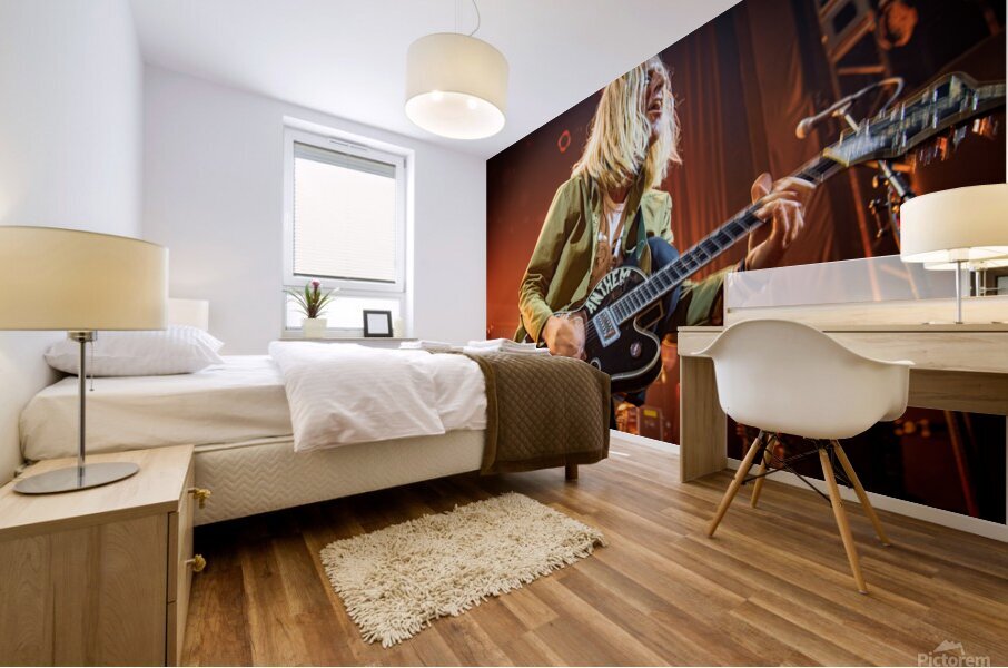 Switchfoot Mural print