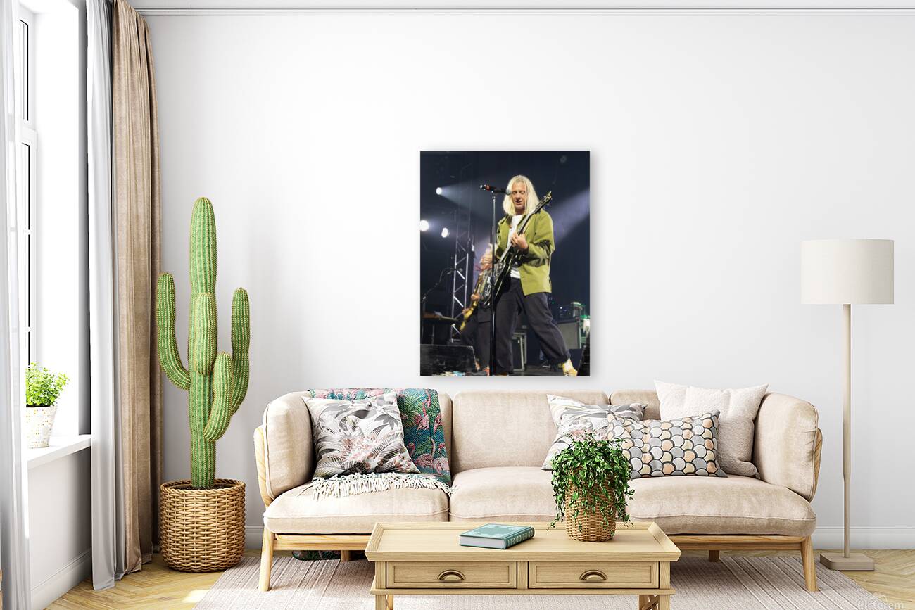 Switchfoot Reproduction