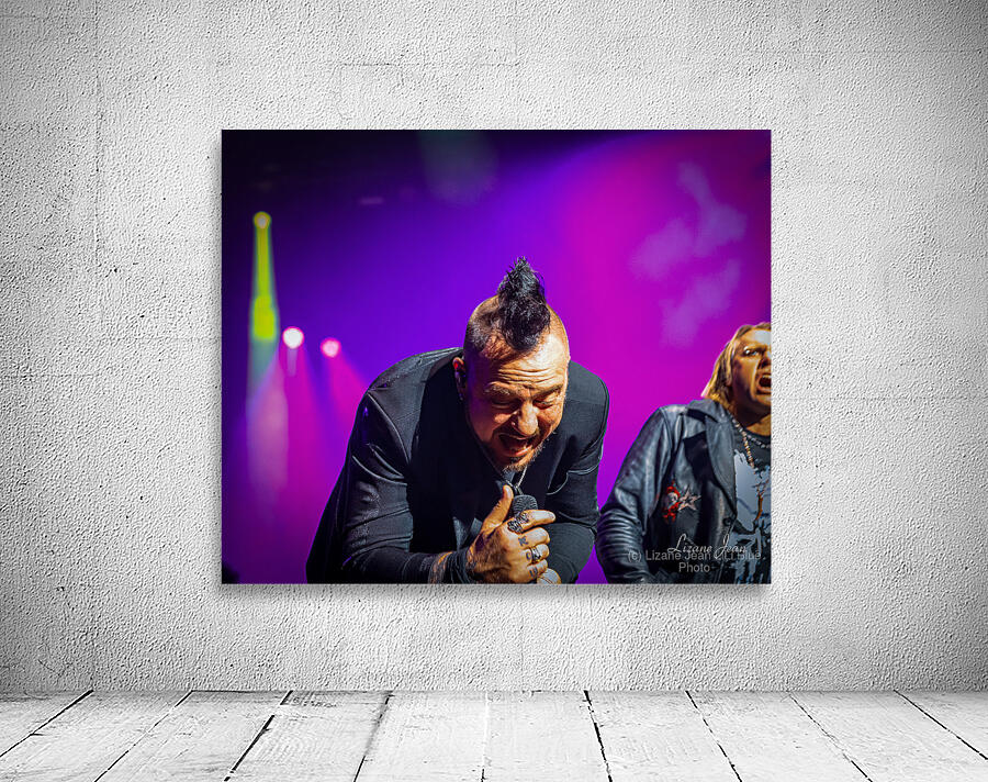 Three Days Grace Wall Preview