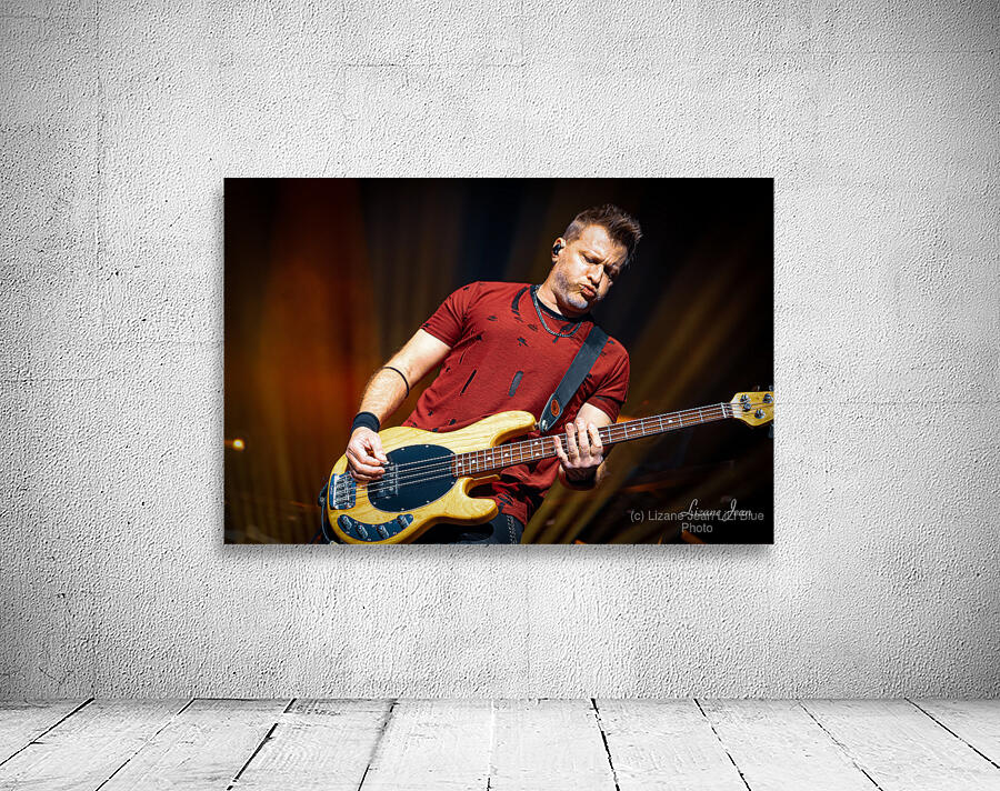 Three Days Grace Wall Preview