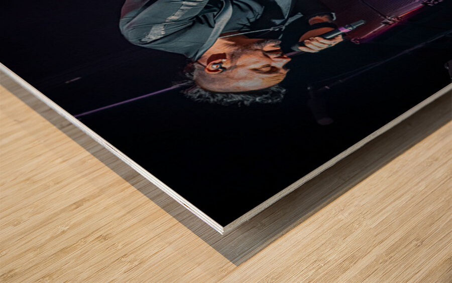 Three Days Grace Wood print