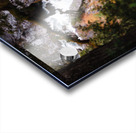 Middle Fork River View Acrylic print