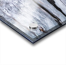 Drift-Log  Acrylic print