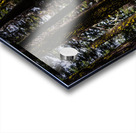 Cover Acrylic print