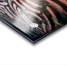 Cross-sections Acrylic print