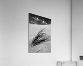 Resiliance Acrylic Print
