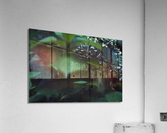 Deep in the Hydrangeas Acrylic Print