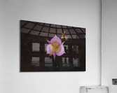 See the Eye Acrylic Print