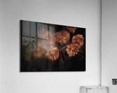 Small and Orange Acrylic Print
