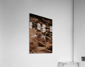 Nesting Acrylic Print