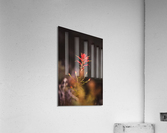 Paint Brush Acrylic Print