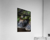 Natures Alcove Acrylic Print