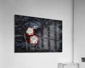 Duo Acrylic Print