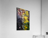 Two Tone Acrylic Print