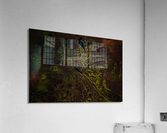 Crosscut Acrylic Print