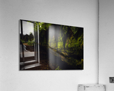 Tree Wall Acrylic Print
