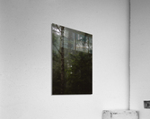 Misty Acrylic Print