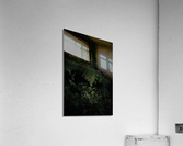 Fern Acrylic Print