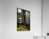 Cover Acrylic Print