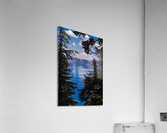 Between the Firs Acrylic Print