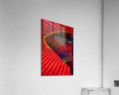 Aka Acrylic Print