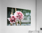 Deep in the Red Acrylic Print