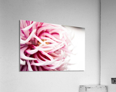 Hanabi Acrylic Print