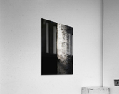 Quake in Contrast Acrylic Print