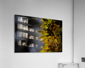 Maple Acrylic Print