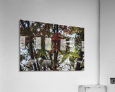 The Whispering Tree Acrylic Print