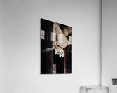 Jingu-Ji Acrylic Print