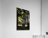 Center Acrylic Print