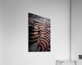 Cross-sections Acrylic Print