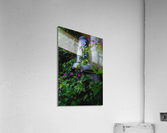 Retainer Acrylic Print