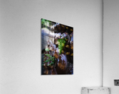 Ferns Acrylic Print