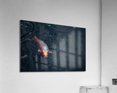 Surface Acrylic Print