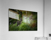 On the Hillside Acrylic Print