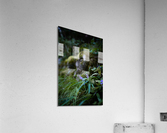 Peaceful Purple Acrylic Print