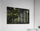 Rooted Acrylic Print