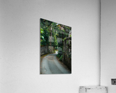If Only... Acrylic Print