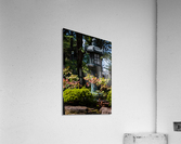 Lantern Acrylic Print