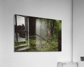 Hello Deer Acrylic Print