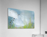 Dreamlike Dew Acrylic Print