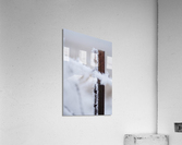 Barbed in Ice Acrylic Print