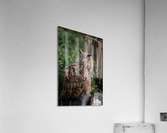 Horned Owl Acrylic Print