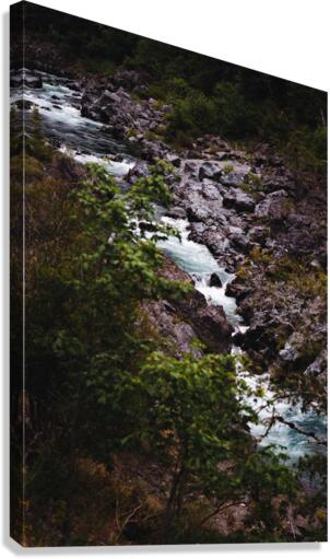 Along the Flume Canvas Print