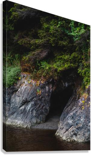 Natures Alcove Canvas Print