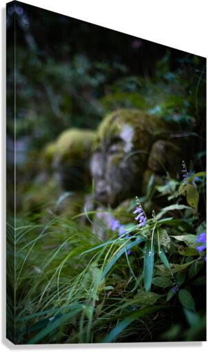 Peaceful Purple Canvas Print